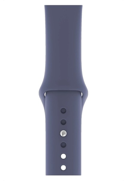Apple Watch Uyumlu 3 4 5 6 7 8 Se Delikli 38 40 41MM Kordon Kayış Bileklik Klasik Silikon