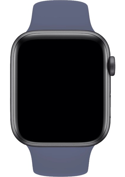 Apple Watch Uyumlu 3 4 5 6 7 8 Se Delikli 38 40 41MM Kordon Kayış Bileklik Klasik Silikon fiyatları