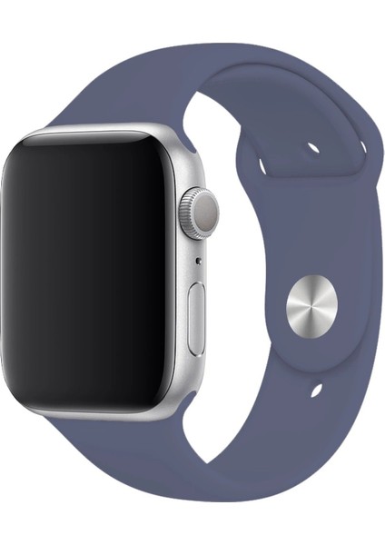 Apple Watch Uyumlu 3 4 5 6 7 8 Se Delikli 38 40 41MM Kordon Kayış Bileklik Klasik Silikon fırsatları