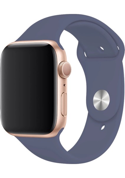 Apple Watch Uyumlu 3 4 5 6 7 8 Se Delikli 38 40 41MM Kordon Kayış Bileklik Klasik Silikon indirimleri
