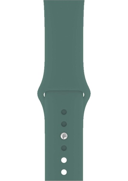 Apple Watch Uyumlu 3 4 5 6 7 8 Se Delikli 42 44 45MM Kordon Kayış Bileklik Klasik Silikon