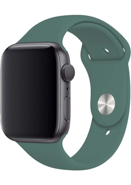 Apple Watch Uyumlu 3 4 5 6 7 8 Se Delikli 42 44 45MM Kordon Kayış Bileklik Klasik Silikon fiyatları