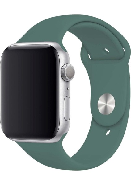 Apple Watch Uyumlu 3 4 5 6 7 8 Se Delikli 42 44 45MM Kordon Kayış Bileklik Klasik Silikon fırsatları