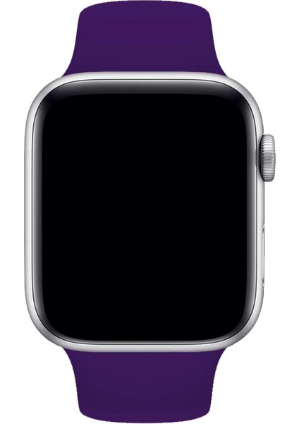 Apple Watch Uyumlu 3 4 5 6 7 8 Se Delikli 42 44 45MM Kordon Kayış Bileklik Klasik Silikon modelleri