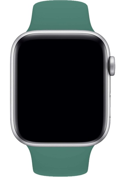 Apple Watch Uyumlu 3 4 5 6 7 8 Se Delikli 42 44 45MM Kordon Kayış Bileklik Klasik Silikon modelleri