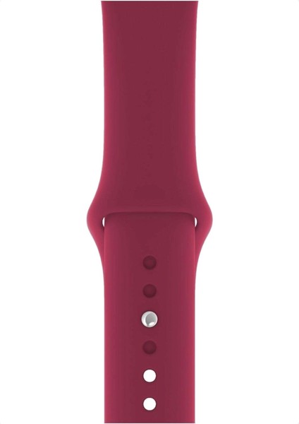 Watch Uyumlu 3 4 5 6 7 8 Se Delikli 38 40 41MM Kordon Kayış Bileklik Klasik Silikon