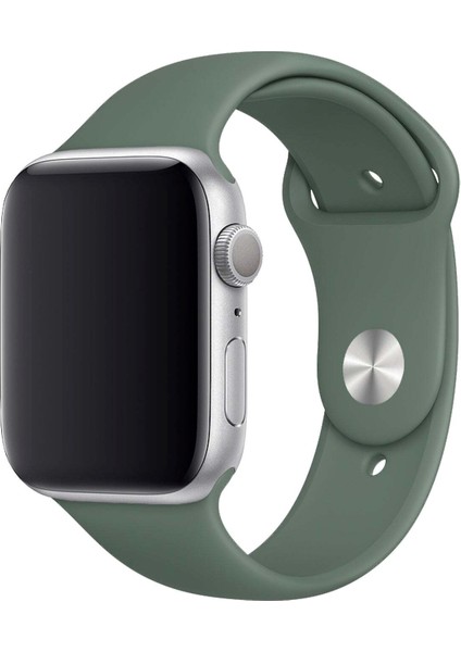 Apple Watch Uyumlu 3 4 5 6 7 8 Se Delikli 38 40 41MM Kordon Kayış Bileklik Klasik Silikon fırsatları