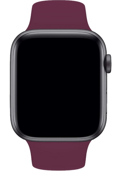 Apple Watch Uyumlu 3 4 5 6 7 8 Se Delikli 38 40 41MM Kordon Kayış Bileklik Klasik Silikon fiyatları