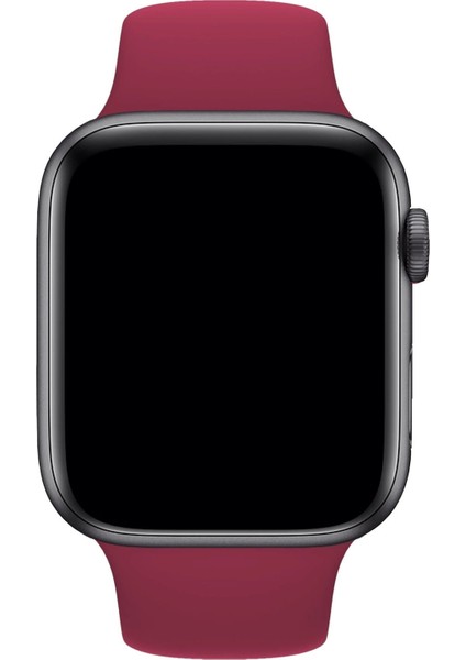 Apple Watch Uyumlu 3 4 5 6 7 8 Se Delikli 38 40 41MM Kordon Kayış Bileklik Klasik Silikon