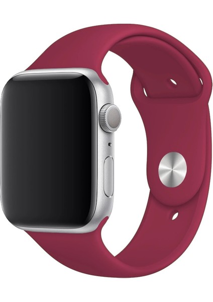 Apple Watch Uyumlu 3 4 5 6 7 8 Se Delikli 38 40 41MM Kordon Kayış Bileklik Klasik Silikon