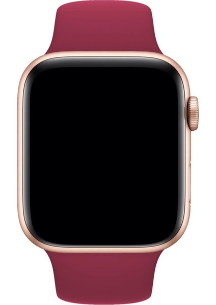 Apple Watch Uyumlu 3 4 5 6 7 8 Se Delikli 38 40 41MM Kordon Kayış Bileklik Klasik Silikon