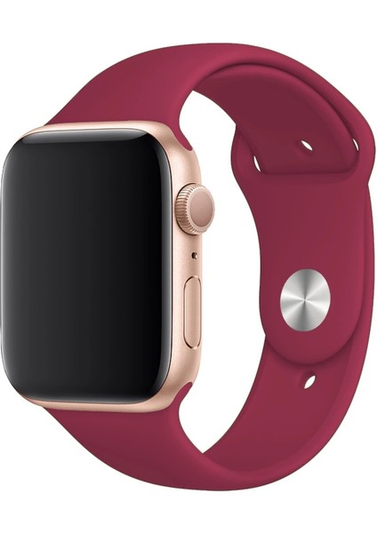 Apple Watch Uyumlu 3 4 5 6 7 8 Se Delikli 38 40 41MM Kordon Kayış Bileklik Klasik Silikon