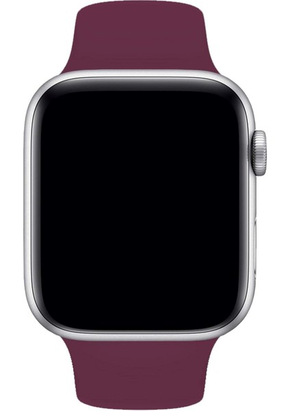 Apple Watch Uyumlu 3 4 5 6 7 8 Se Delikli 38 40 41MM Kordon Kayış Bileklik Klasik Silikon fırsatları