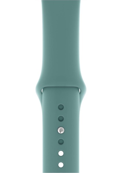 Apple Watch Uyumlu Kordon S Beden 1 2 3 4 5 6 7 Se Seri 42 Mm/44 MM/45MM Kayış