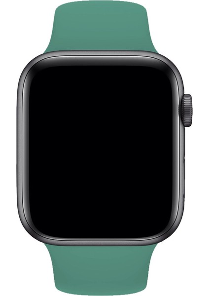Apple Watch Uyumlu Kordon S Beden 1 2 3 4 5 6 7 Se Seri 42 Mm/44 MM/45MM Kayış