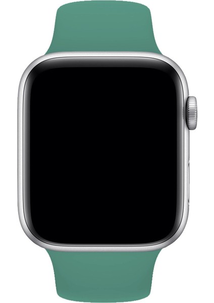 Apple Watch Uyumlu Kordon S Beden 1 2 3 4 5 6 7 Se Seri 42 Mm/44 MM/45MM Kayış