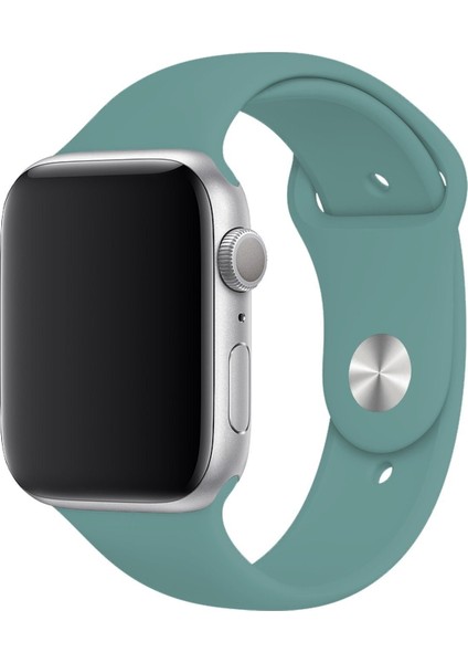 Apple Watch Uyumlu Kordon S Beden 1 2 3 4 5 6 7 Se Seri 42 Mm/44 MM/45MM Kayış