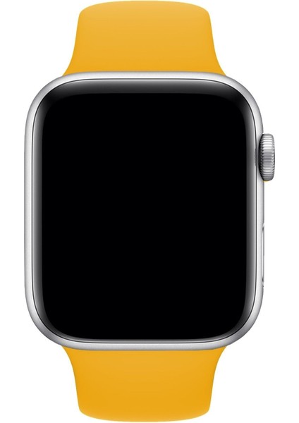Apple Watch Uyumlu Kordon 1 2 3 4 5 6 7 Se Seri 42 Mm/44 MM/45MM Silikon Kordon Kayış fırsatları