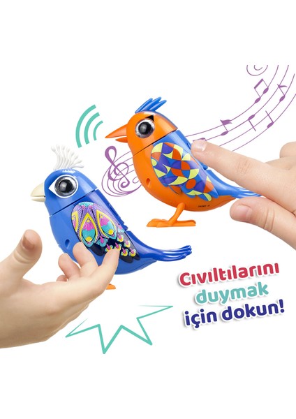 Digibirds Ikili Paket Seri 1