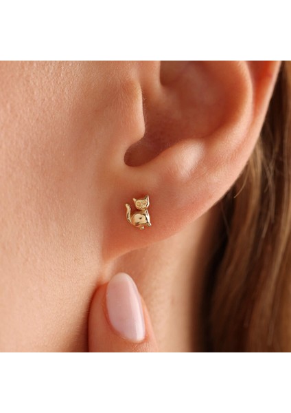 14 Ayar Altın Kedi Küpe Mi Yav fiyatları