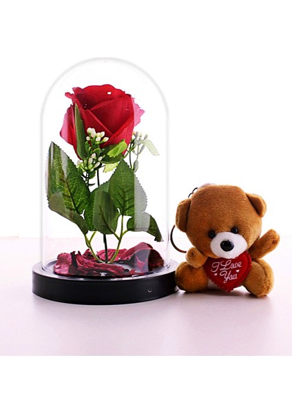 Sevgiliye Eşe Hediye Fanusta Kırmızı Gül ve Mini Ayıcık Set Sevgiliye Hediye