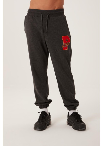 Erkek Jogger 3 Iplik Eşofman Antrasit fiyatları