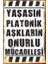 Yaşasın Platonik Aşkların Onurlu Mücadelesi Duvar Yazısı Retro Ahşap Poster 761 2