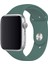 Apple Watch Uyumlu 3 4 5 6 7 8 Se Delikli 42 44 45MM Kordon Kayış Bileklik Klasik Silikon 4