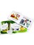 Phonics Readers - Box Set 4