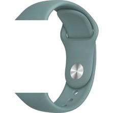 Pazariz Apple Watch Uyumlu Klasik Kordon 38 mm