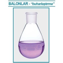 Isolab 030.55.901 Balon - Buharlaştırma - 1000 ml (1 Adet)