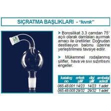Isolab 065.48.005 Adaptör - Sıçratma Tutucu - Eğimli - Dişi: Ns 29/32 - Erkek: Ns 29/32 (1 Adet)