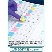 Isolab 076.01.001G Lam Dosyası - Karton - Yeşil (1 Adet)