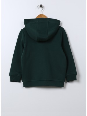 U.S. Polo Assn.  Düz Erkek Çocuk Yeşil Sweatshirt JAXSK022