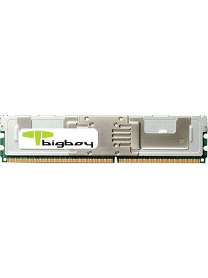 Bigboy BTS789/4G 4 GB Ddr2 667MHZ Registered Sunucu Belleği