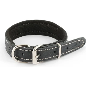 Meander Pet Supplies - Deri Köpek Tasması | Pati Desenli