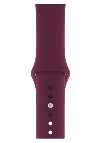 Apple Watch Uyumlu 3 4 5 6 7 8 Se Delikli 42 44 45MM Kordon Kayış Bileklik Klasik Silikon