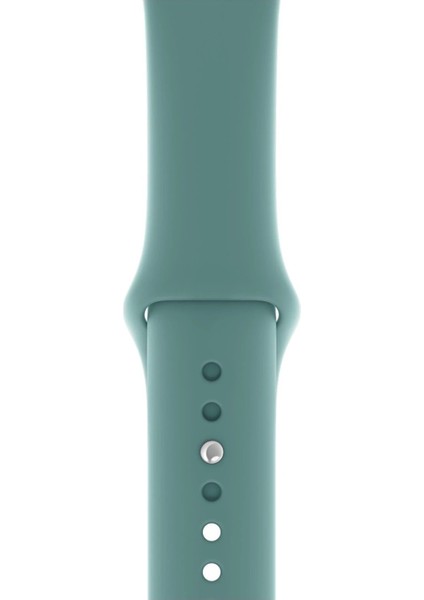 Apple Watch Uyumlu 3 4 5 6 7 8 Se Delikli 38 40 41MM Kordon Kayış Bileklik Klasik Silikon