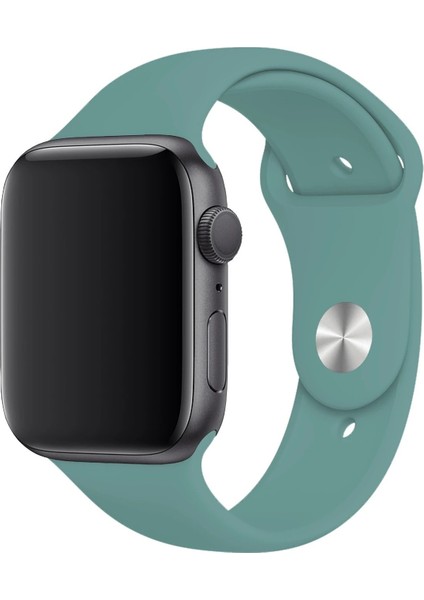Apple Watch Uyumlu 3 4 5 6 7 8 Se Delikli 38 40 41MM Kordon Kayış Bileklik Klasik Silikon fiyatları