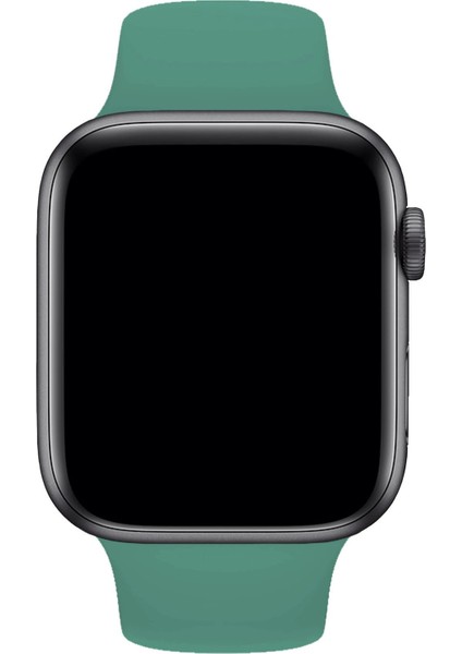 Apple Watch Uyumlu 3 4 5 6 7 8 Se Delikli 38 40 41MM Kordon Kayış Bileklik Klasik Silikon modelleri
