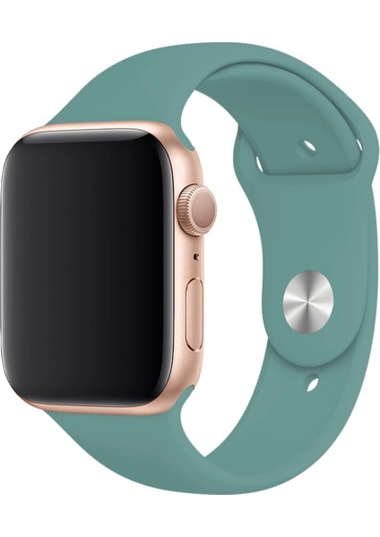 Apple Watch Uyumlu 3 4 5 6 7 8 Se Delikli 38 40 41MM Kordon Kayış Bileklik Klasik Silikon indirimleri