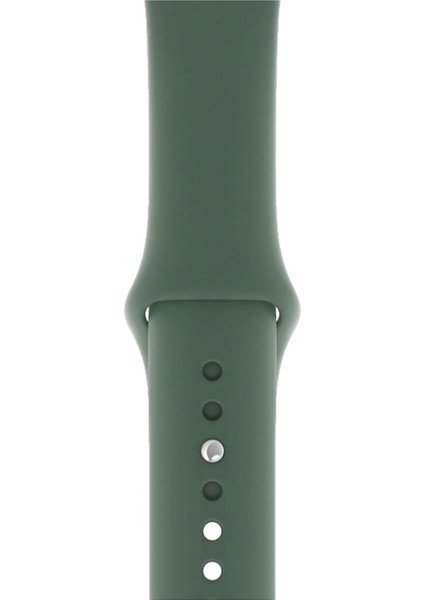 Watch Uyumlu 2 3 4 5 6 7 Se Uyumlu 42 44 45MM Kordon Kayış Bileklik Klasik Silikon