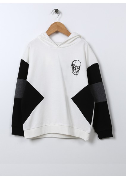 Sweatshirt, 11-12 Yaş, Ekru fiyatları