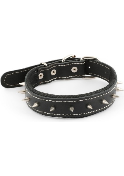 - Deri Köpek Tasması | Çivili fiyatları
