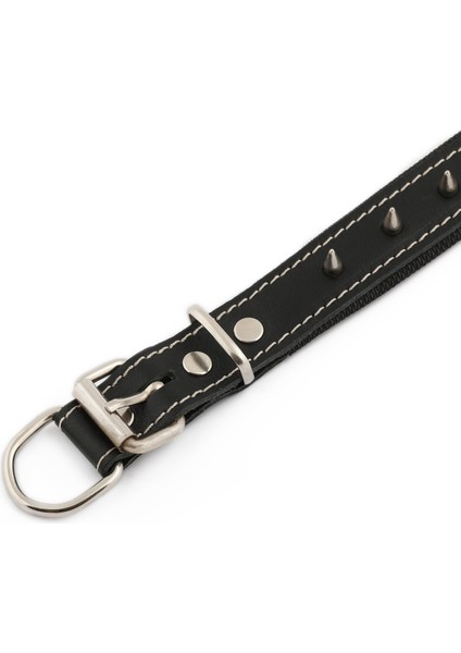 - Deri Köpek Tasması | Çivili fırsatları