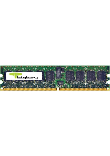 BTS4227/2G 2 GB Ddr2 667MHZ Registered Sunucu Belleği