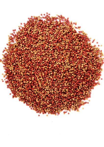 Goldy Mix Granules 250ML ve Sera Goldy Color Spirulina 100ML Kutu Japon Balığı Yemi ve Vitamin