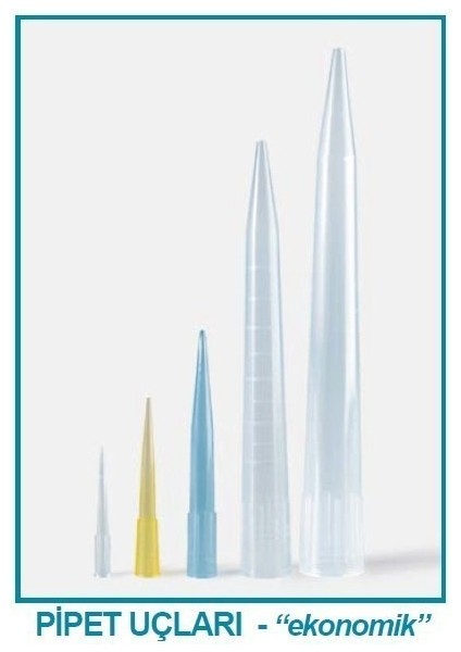 005.01.002 Pipet Ucu - Sarı - 200 Ul (1000 Adet)