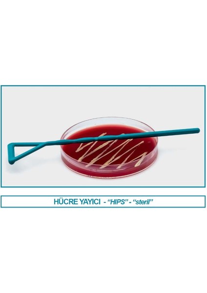 082.03.001 Sıyırıcı - Hücre - Hıps - Steril (100 Adet)