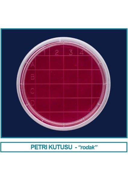 081.04.060 Petri Kutusu Rodak - 60 mm - Steril A (500 Adet)